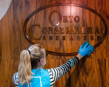 disinfezione azienda ancona marche